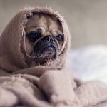 Is It Just Me or Is It Cold in Here?!