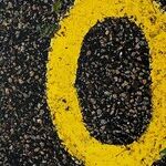 My Dad Refuses Almost Every Request I Make