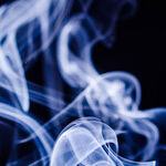 Pets Can be Allergic to Tobacco Smoke