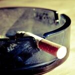 Don't Smoke, Your Body Will Thank You