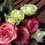 A Bouquet Of Flowers Might Help