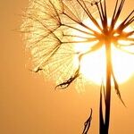 All People Can Suffer Sun Damage