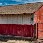 Become 100 Percent Texan!