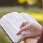 Top Grades and Activities Are Both Important
