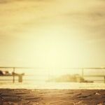 Survey Says: Eat Properly or Exercise?