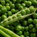 Forced Food Consumption Is Not Prudent