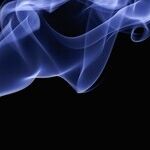 Every Day Compounds Your Bad Habit