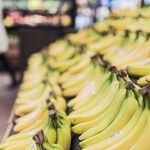 I Still Bag Groceries and Am Glad I Do