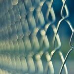 I Won't Ever Visit My Father in Prison