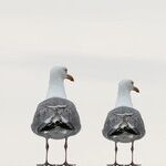 Is My Father Wrong About Bullying?