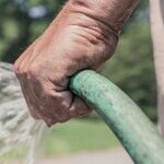 My Dad Drinks Water From the Garden Hose