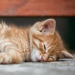 For the First Time, I'm Not Sleeping Well