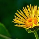 How Can I Take Good Advantage of a Fresh Start?