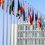 What Languages Should I Pursue?