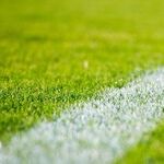 I'm Stunned by the American Passion for University Sports