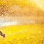 Can Exercise Really Help Him?