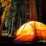 My Father Won't Let Us Camp in the Backyard