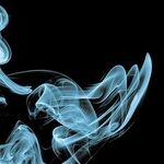 I'm Grounded, but I Never Actually Smoked It!