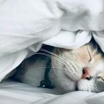 I'm Getting Everything Done Now, So Why Change?