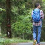 What Is the True Role of Parents?