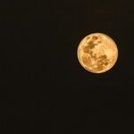 In the Shadow of a Scorpio New Moon