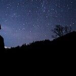 Morality During a Lunar Opposition