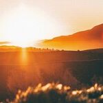 Happily Wrapping Up the Season