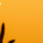 On a Squared Solstice