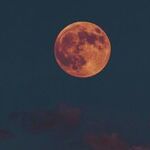 Under a Gregarious Sagittarius Moon