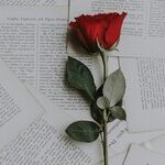 Balancing Love's Books