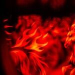 Taming the Fire Horse