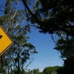 Jupiter's Turnaround