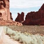 On Growing and Not Growing