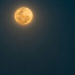 Squirrelly New Moon Plans