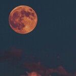 New Moon Times Four