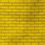 After the Yellow Brick Road
