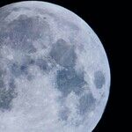 Social Stirrings of the Scorpio Moon