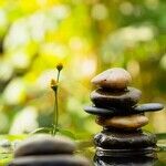 The Libra Principle