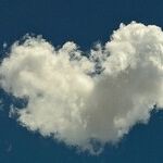 Love, Applied