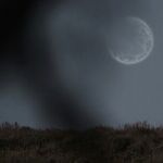 Buck Moon Rises