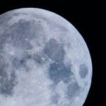 Under the Sturgeon Moon