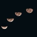 In Preparation for the New Moon