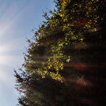 Solar Conjunction of Mercury