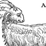 Busy Aries Moon
