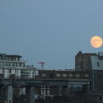 Full Moon After-Party