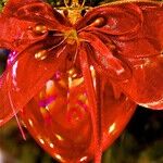 Venus, Jupiter and the Heart/Mind Battle
