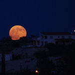 Lunar Tension Mounts