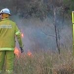 Leaning Into Fire