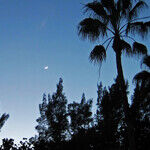 The Moon and the Muse