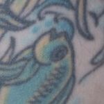 Pisces Moon Query